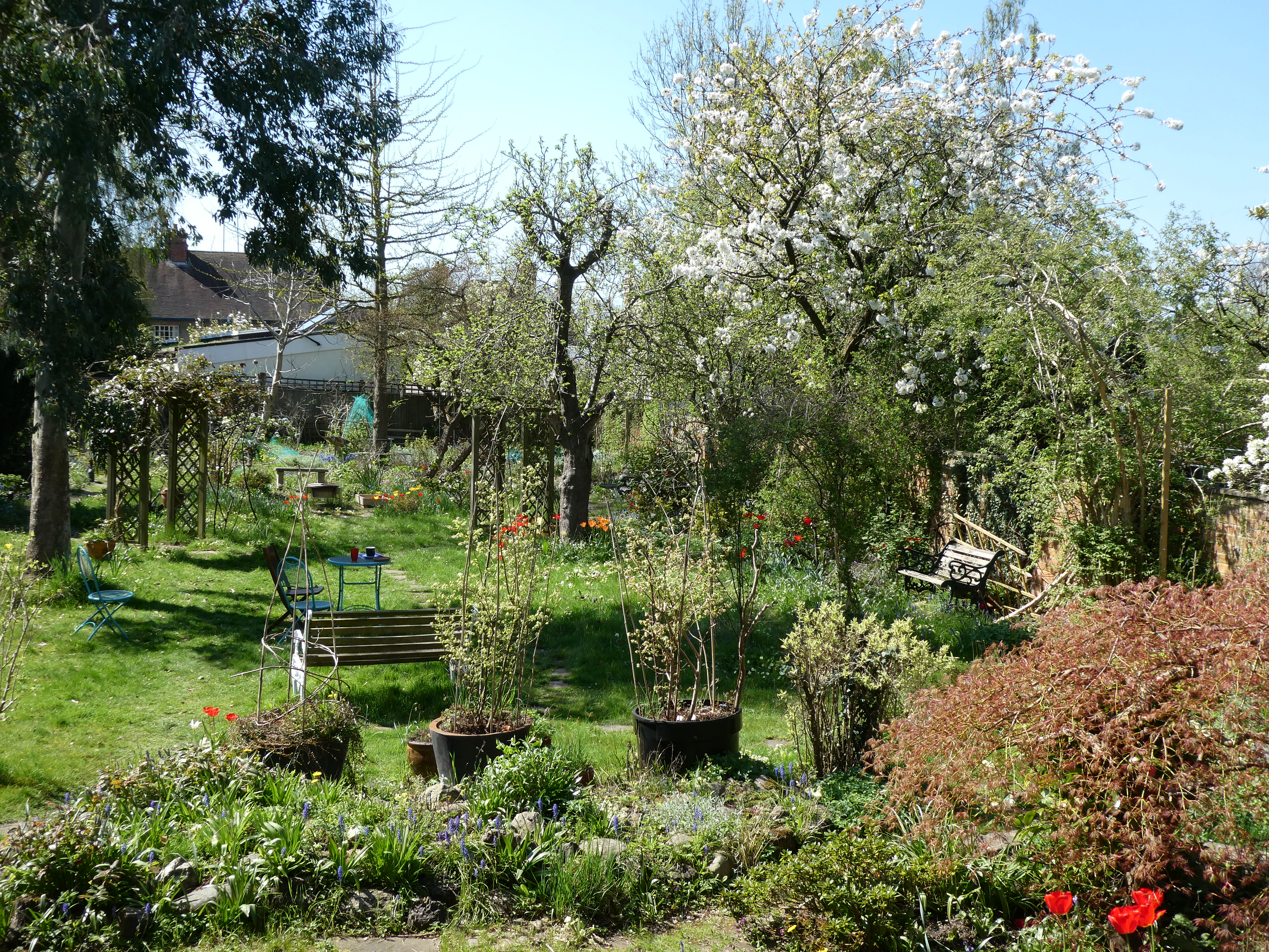 garden