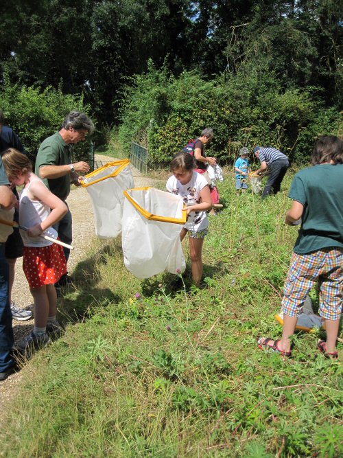 bug hunt picture