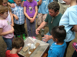 Opening the moth trap