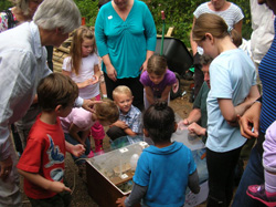 Opening the moth trap2