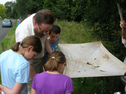 Using the beating tray