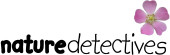 Nature Detectives
