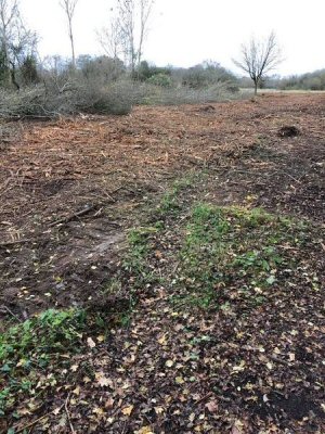 Swallows Meadow