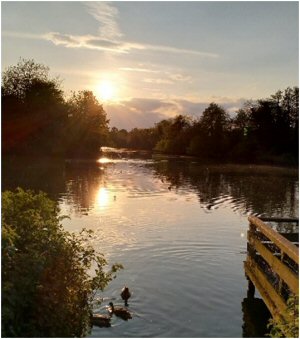 ME lake