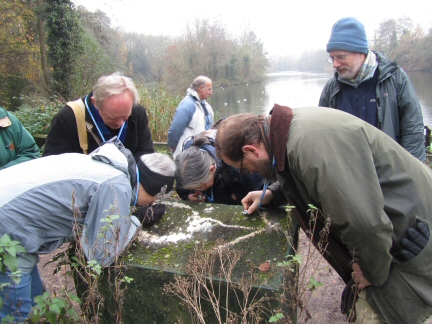 EEG members looking at lichens