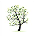tree tree