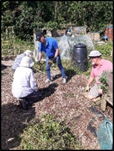 volunteers