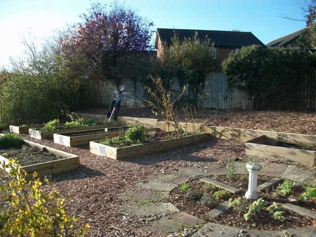 vegetable bed