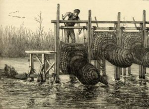 eel trap