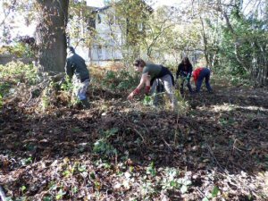 Wednesday volunteers