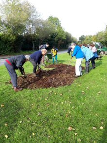 Wednesday volunteers