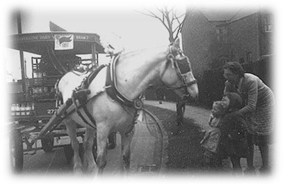 Milk cart