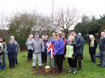 tree planting