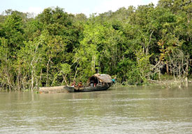 Brahmaputra