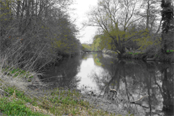 Loddon River