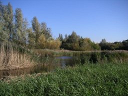 Thames Valley Path