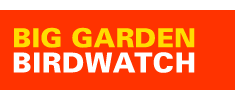 Big Garden Birdwatch