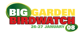 BGBW 2008