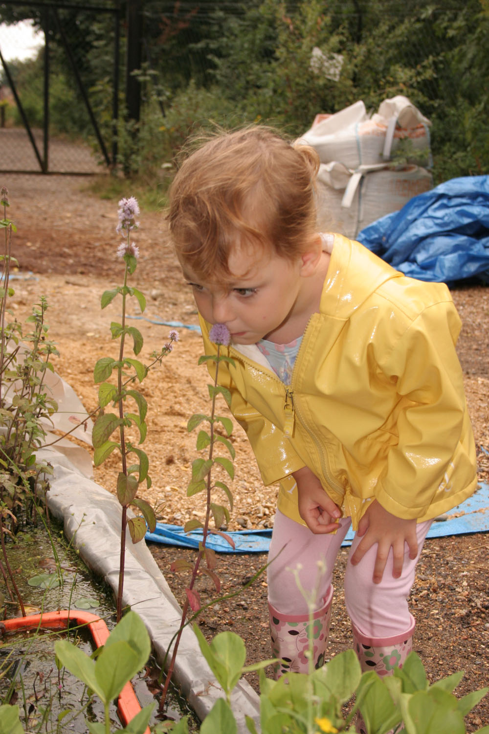 yh.Charlotte inspecting watermint.jpg