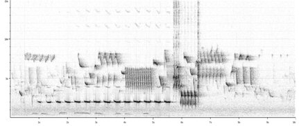 Sonogram