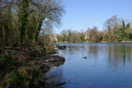 Maiden Erlegh Lake