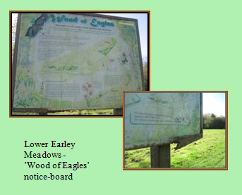 Notice board