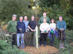 planting party