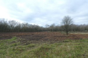 Swallows Meadow