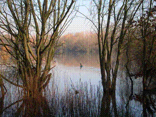 BBOWT Twyford