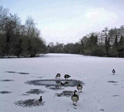 Frozen Lake