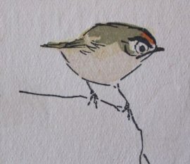 firecrest