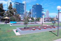 Australian community garden