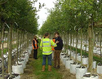 Barcham's Nurseries