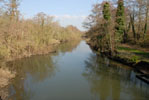 The Loddon